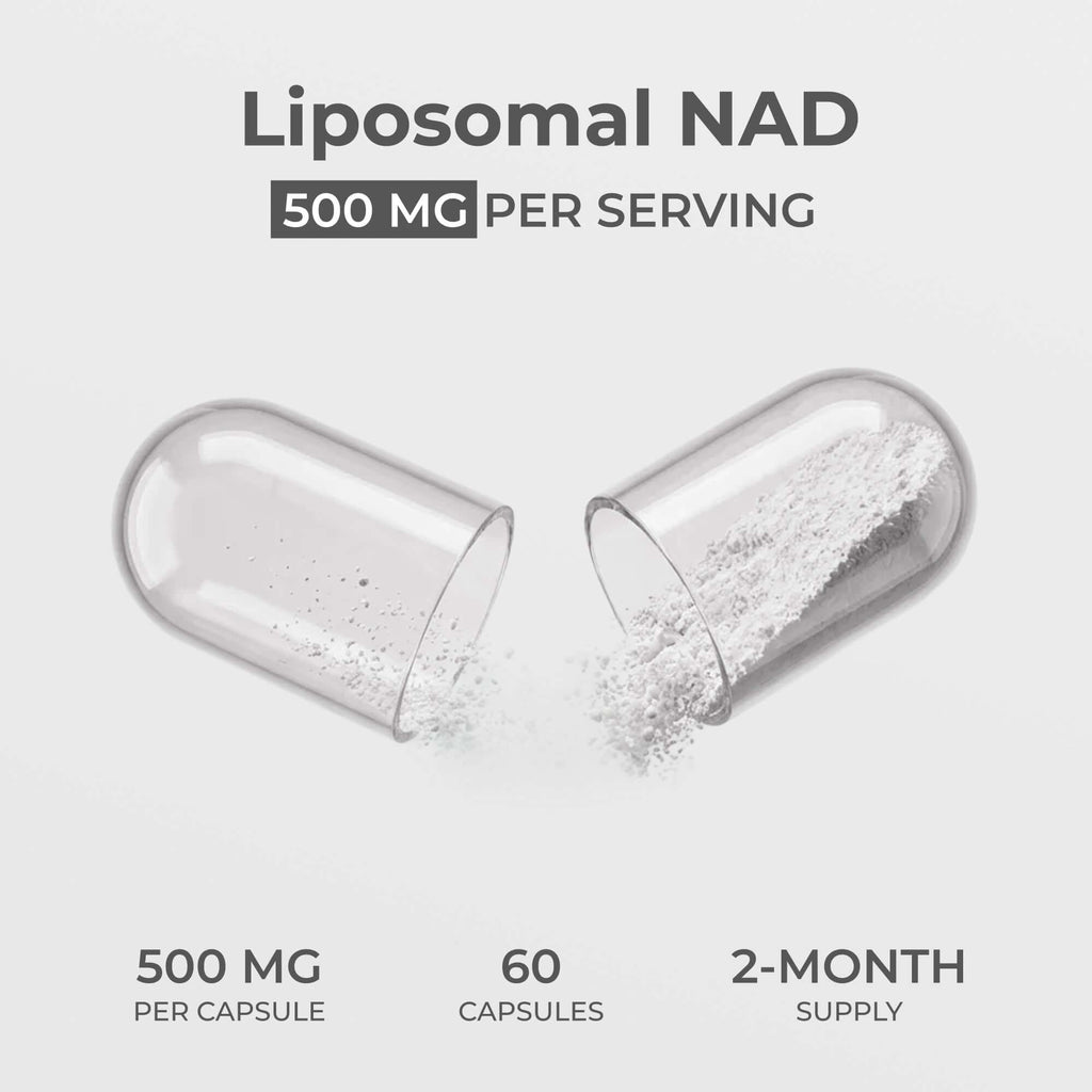 Liposomal NAD+ Capsules