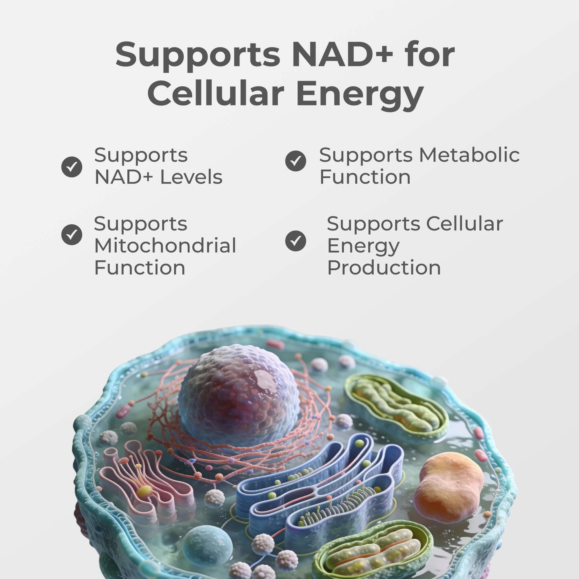 Liposomal NAD+ Capsules