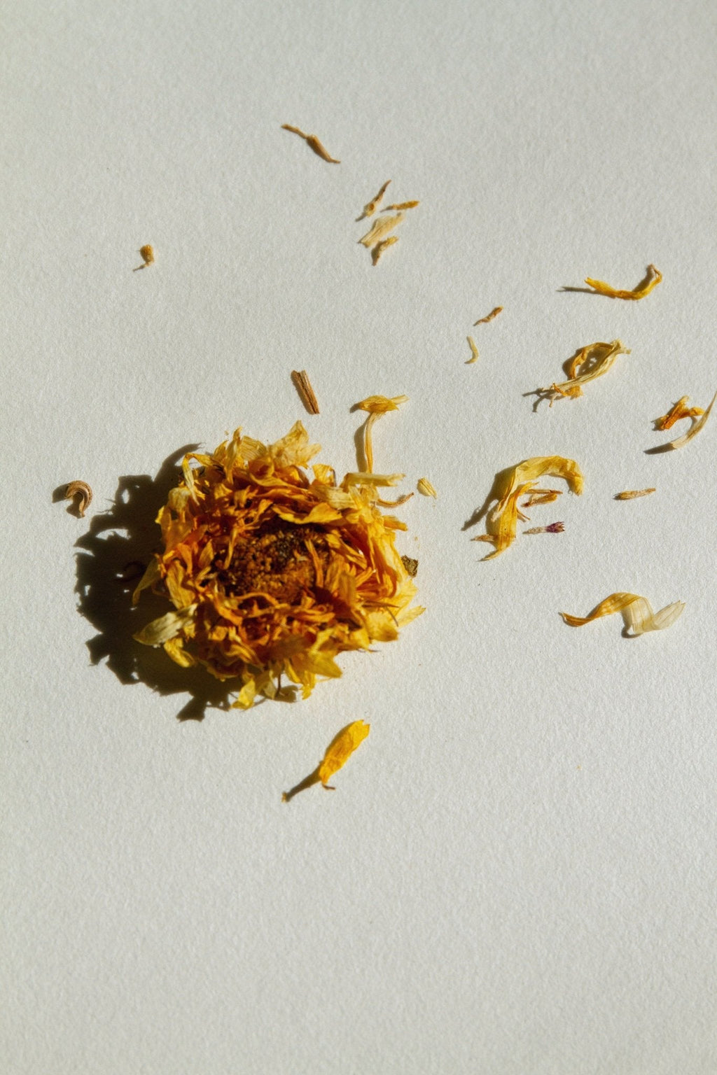 SEELE – Exfoliating Sea Salt Scrub | Celtic Salt®, Choya Nākh, Sage & Coriander